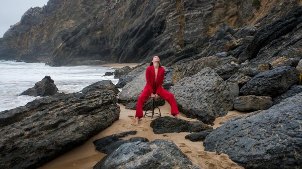 What Makes a Home Ideal for UK Pets?