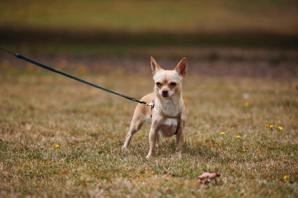 How Can You Transform Your UK Home into a Cozy Sanctuary for Winter Nights?